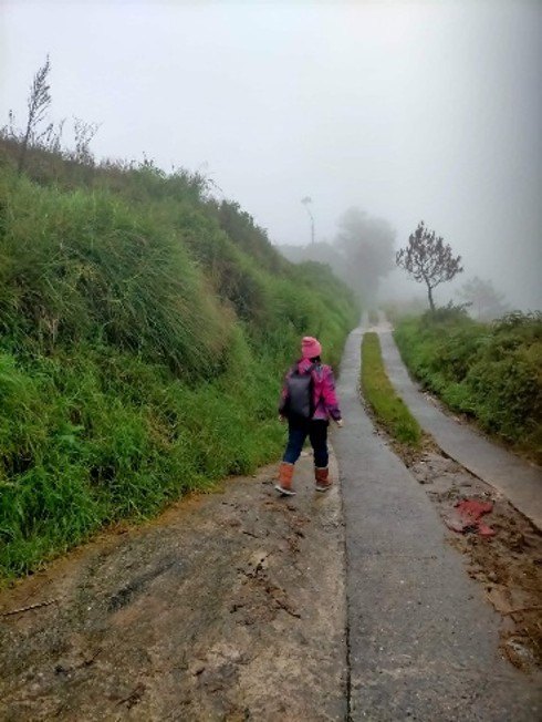 Trekking for Learning Continuity: School Head Ms. Jocelyn S. Pilas walking through foggy mountain trails in Buguias, Benguet to deliver…